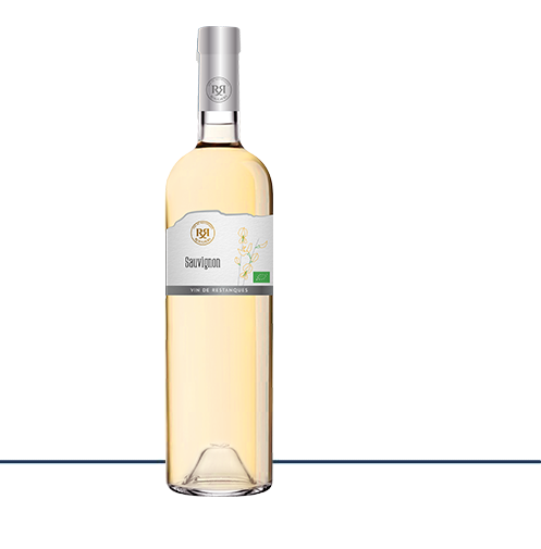 sauvignon