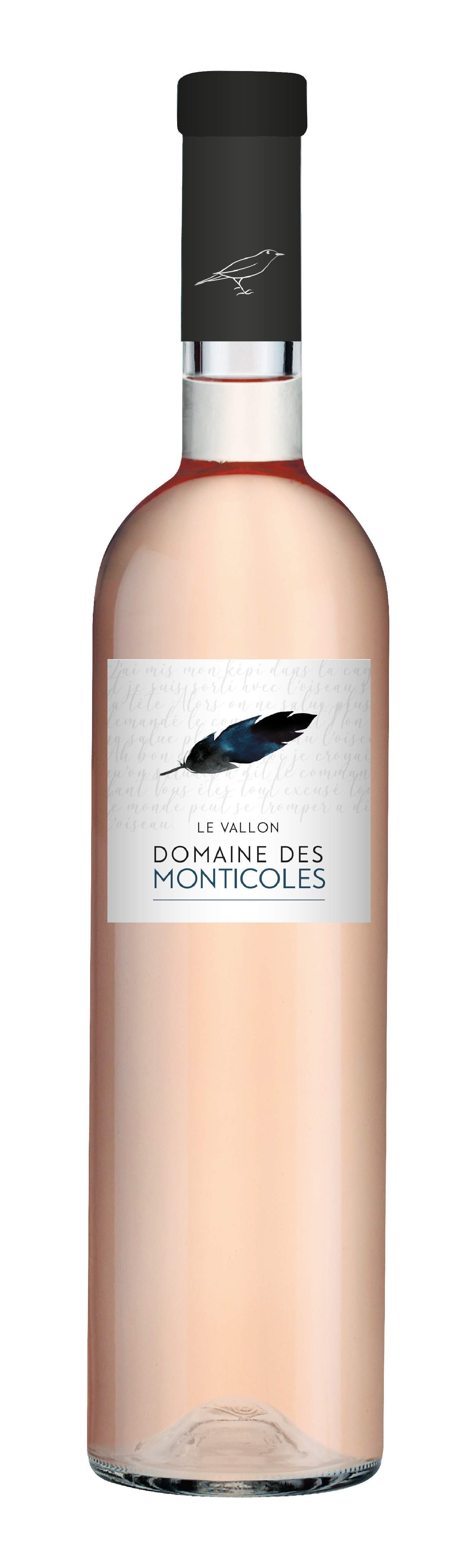MONTICOLES_RS (2)